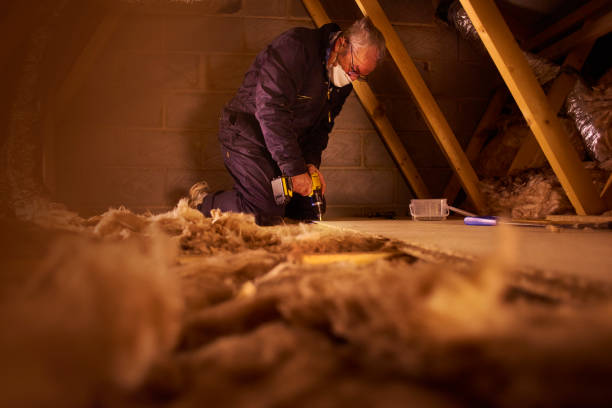 Best Geographic-Specific Insulation Services in Baldwyn, MS